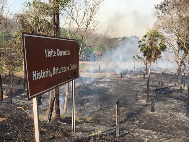 Região queimada do Porto Morrinho em Corumbá (MS) — Foto: Prevfogo/Divulgação