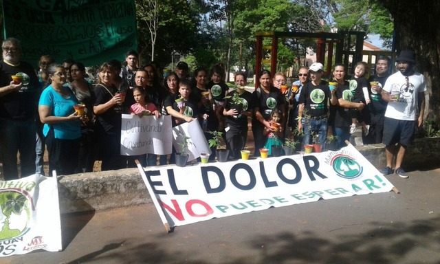 Paraguai: Marcha por legalización del cultivo de marihuana